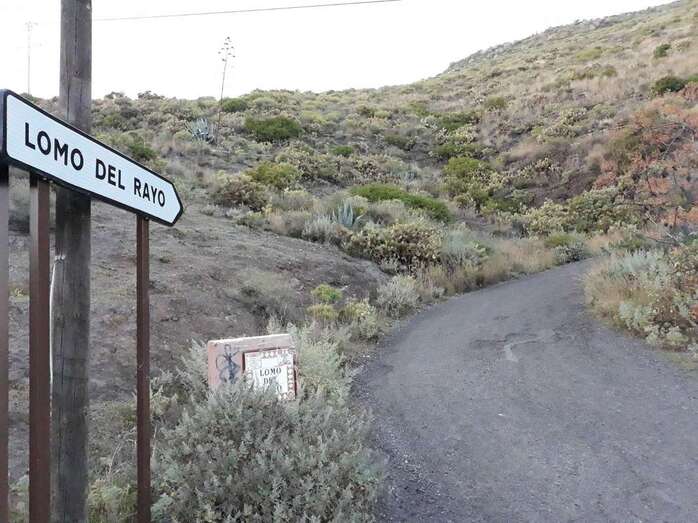 Camino de Lomo del Rayo, en La Solana (Foto TA)